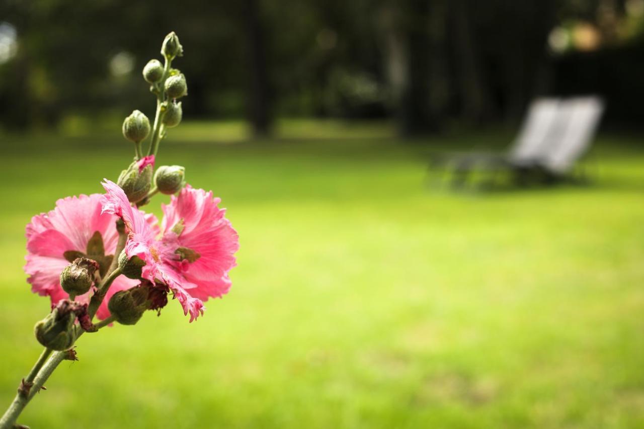 Bed and Breakfast La Belle Monsoise Esterno foto